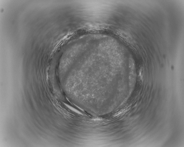 X0000057071348200510071422