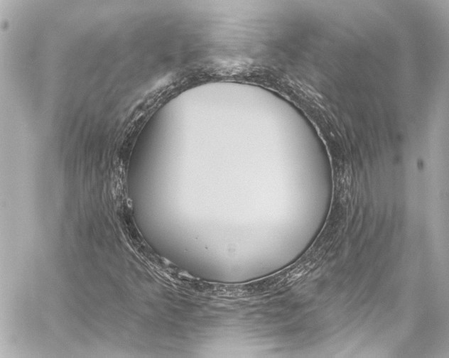 X0000057071349200510071422