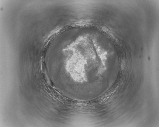 X0000057071350200510071422