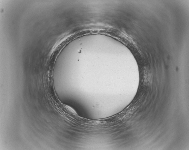 X0000057071352200510071422