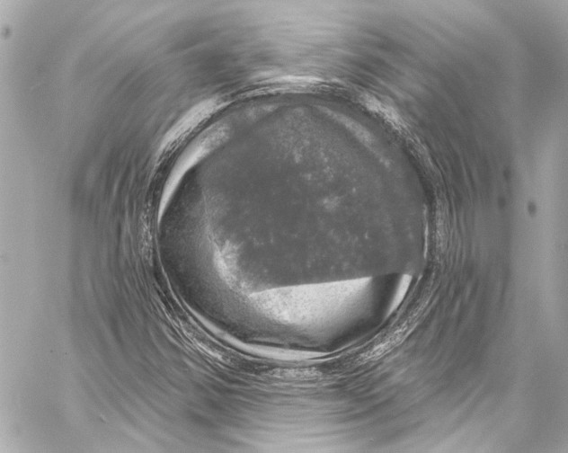 X0000057071354200510071422