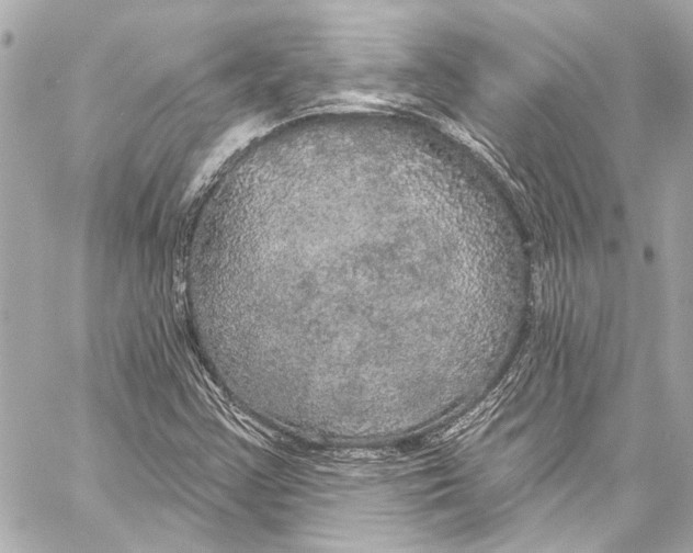 X0000057071355200510071422