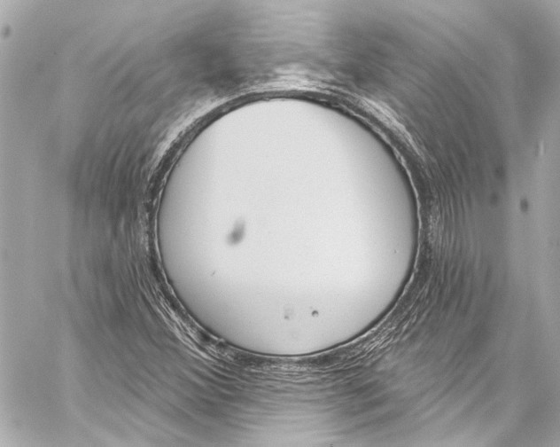 X0000057071356200510071422