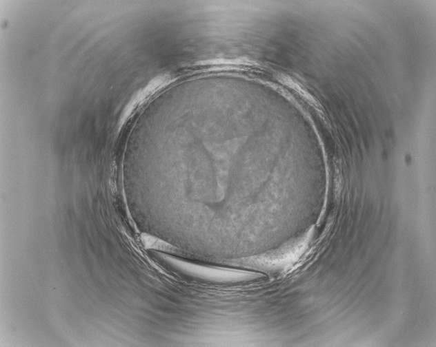 X0000057071357200510071422