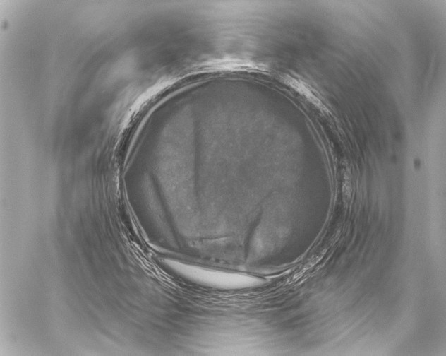 X0000057071358200510071421