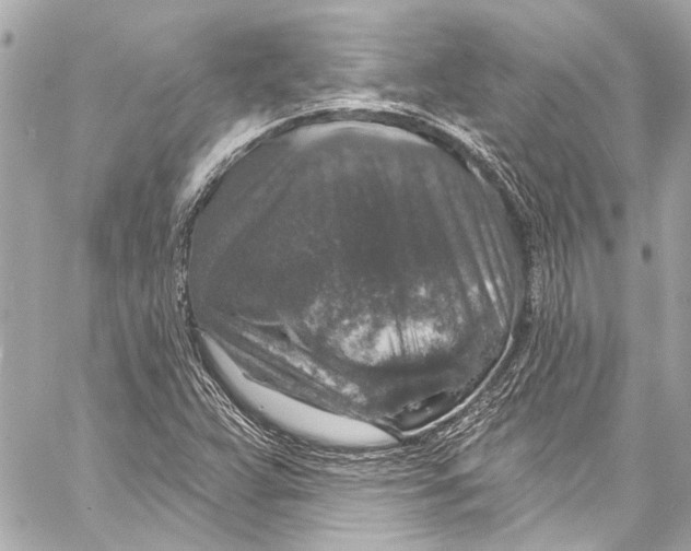 X0000057071359200510071421