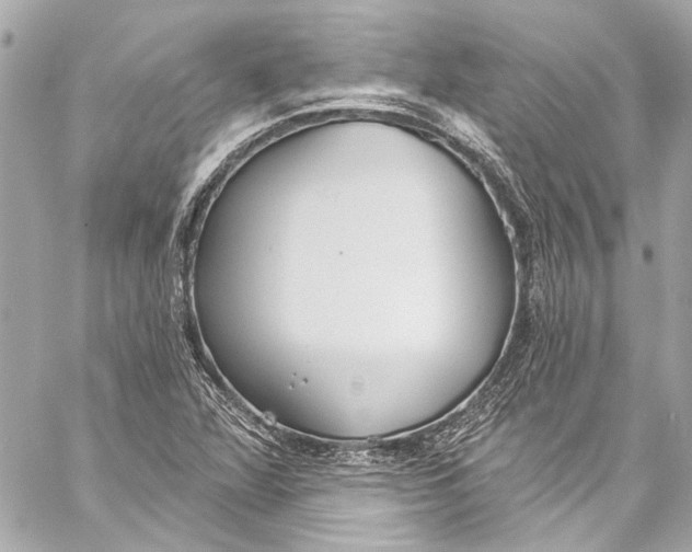 X0000057071360200510071421