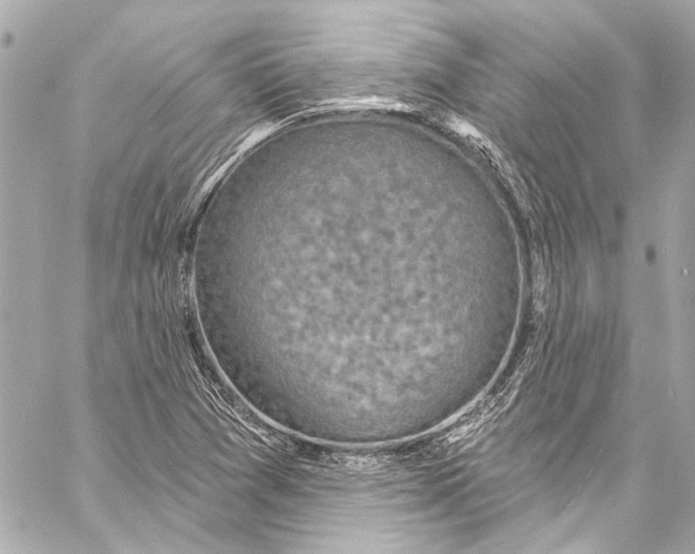 X0000057071361200510071421