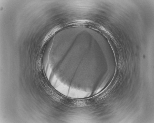 X0000057071362200510071421