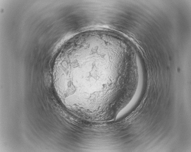 X0000057071363200510071421