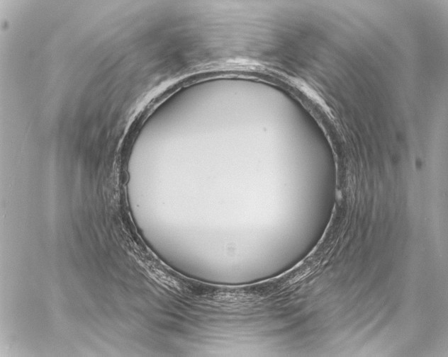 X0000057071364200510071421