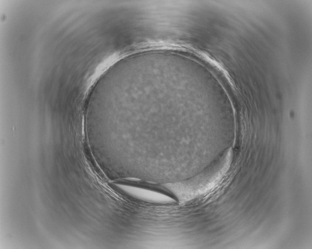 X0000057071365200510071421