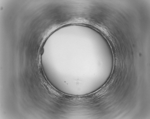 X0000057071366200510071421