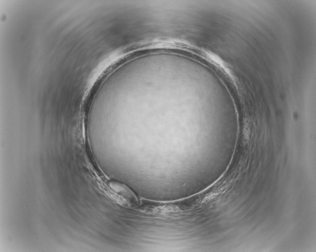 X0000057071368200510071421