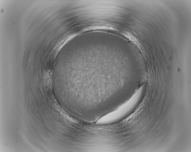 X0000057071369200510071421