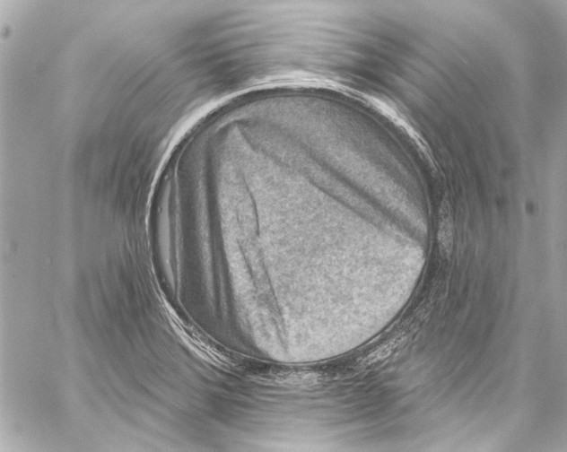 X0000057071372200510071421