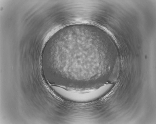 X0000057071373200510071421