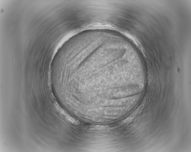 X0000057071374200510071421