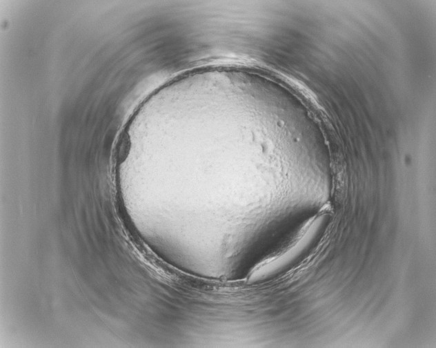 X0000057071375200510071421