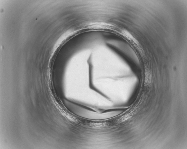 X0000057071376200510071421