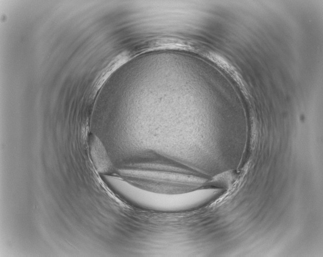 X0000057071377200510071421