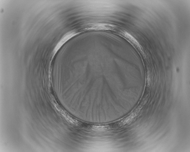 X0000057071378200510071421