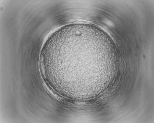 X0000057071379200510071421