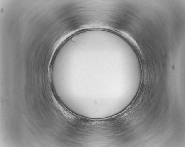 X0000057071380200510071421