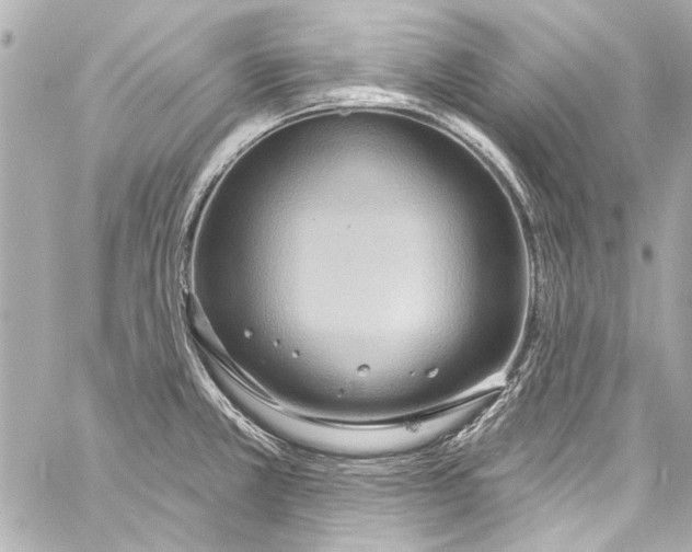 X0000057071381200510071421