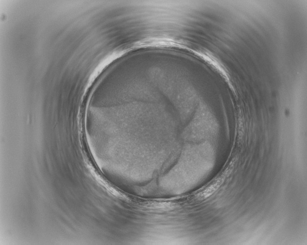 X0000057071382200510071421