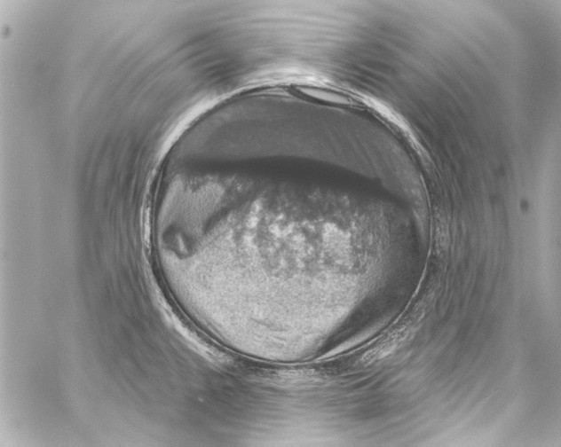 X0000057071383200510071421