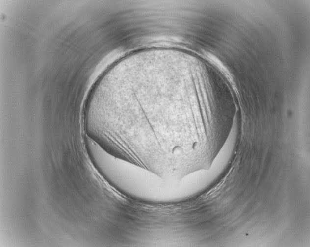 X0000057071384200510071421