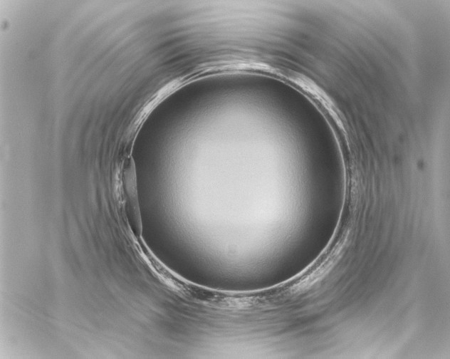 X0000057071385200510071421