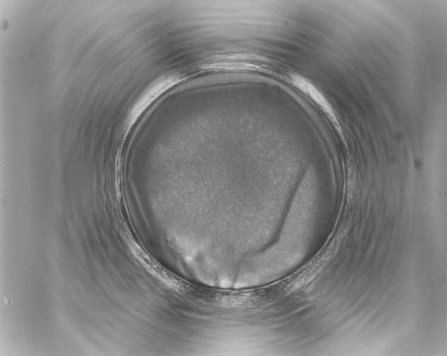 X0000057071386200510071421