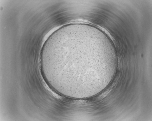 X0000057071387200510071421