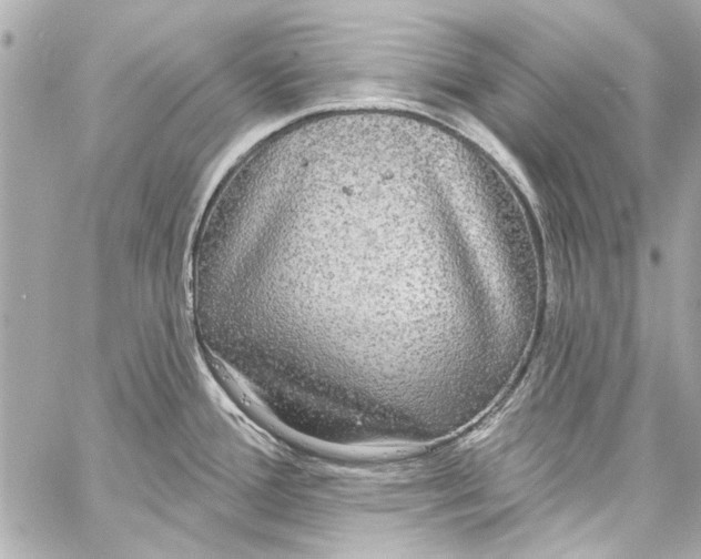 X0000057071388200510071421