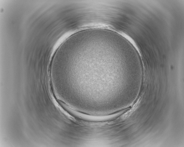 X0000057071389200510071421