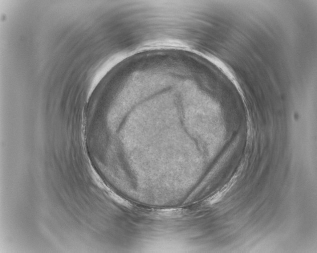 X0000057071390200510071421