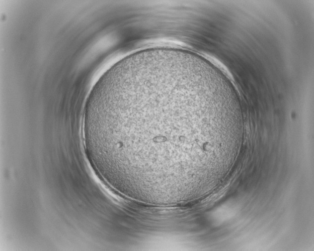 X0000057071391200510071421