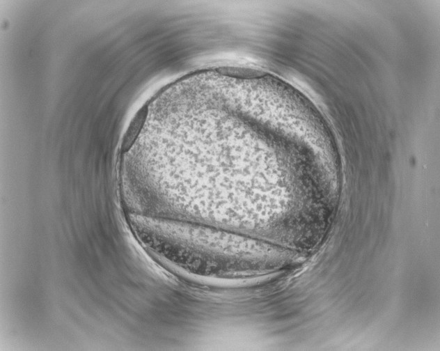 X0000057071392200510071421