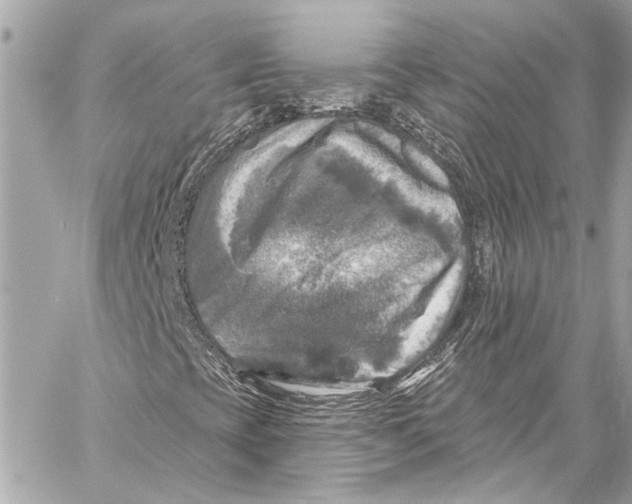 X0000057071393200510071420