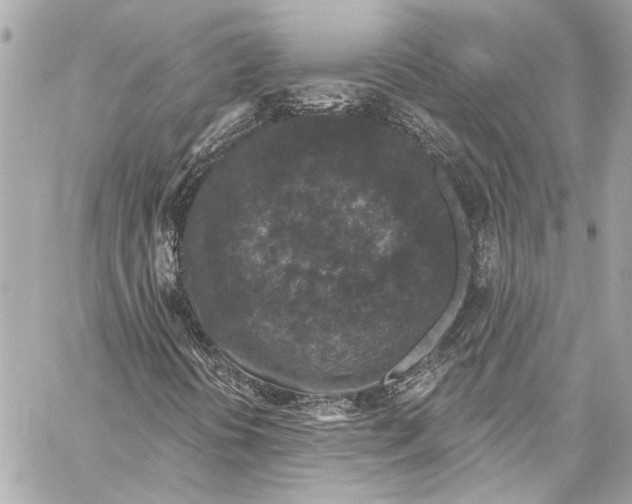 X0000057071394200510071420