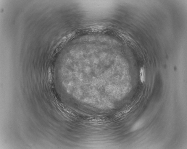 X0000057071395200510071420