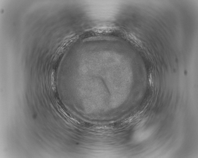 X0000057071396200510071420