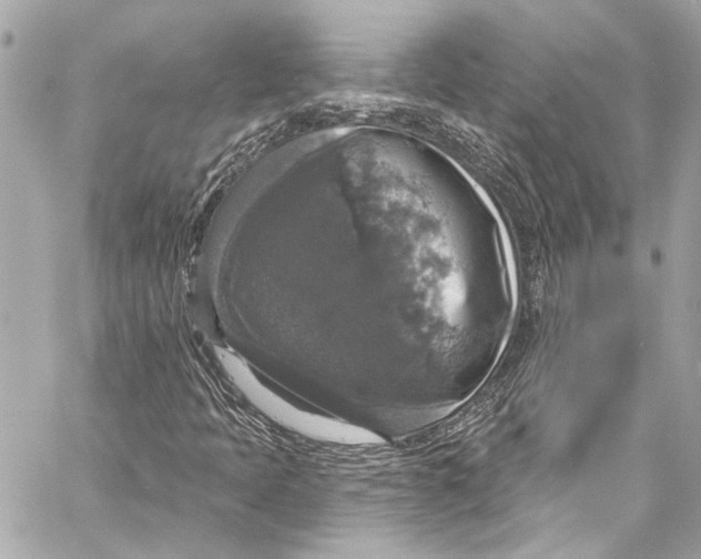 X0000057071397200510071420