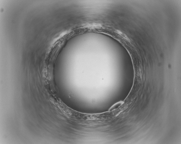 X0000057071398200510071420