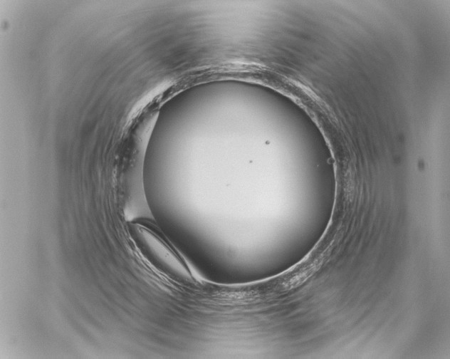 X0000057071402200510071420