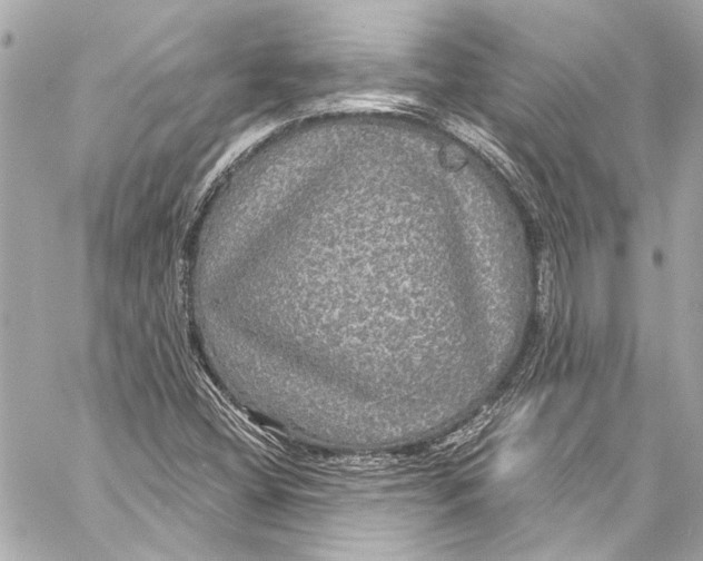 X0000057071404200510071420