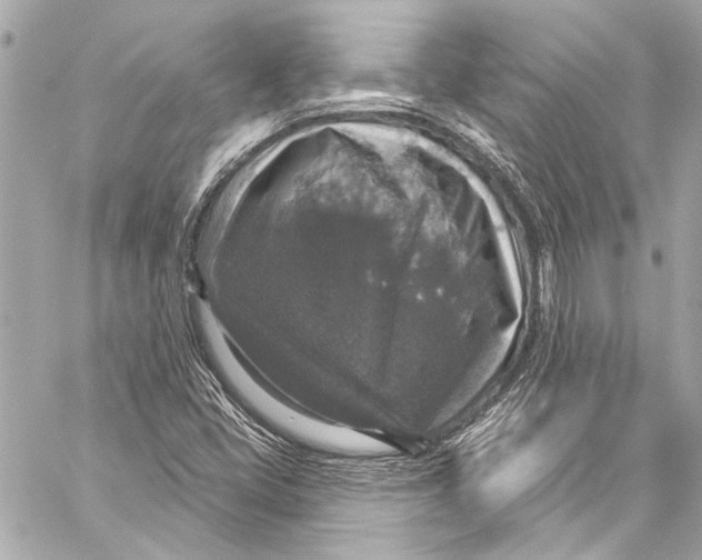 X0000057071405200510071420