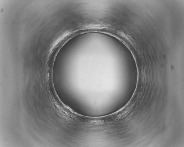 X0000057071406200510071420